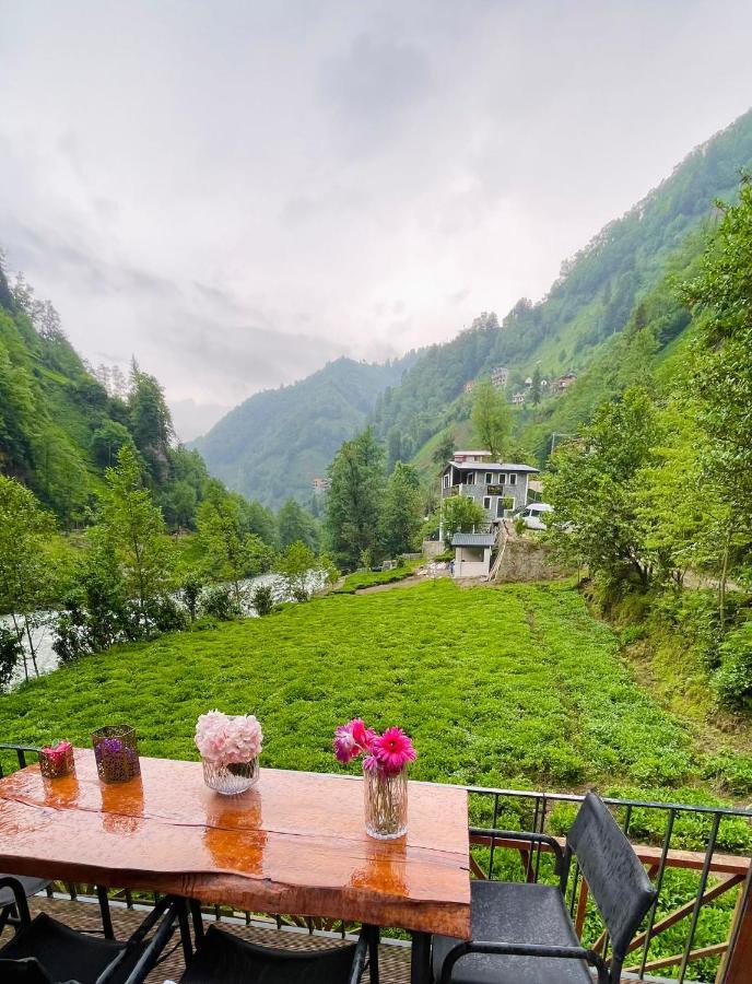 Vagona Tiny House Hotel รีเซ ภายนอก รูปภาพ