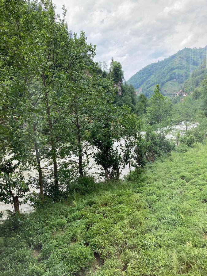 Vagona Tiny House Hotel รีเซ ภายนอก รูปภาพ